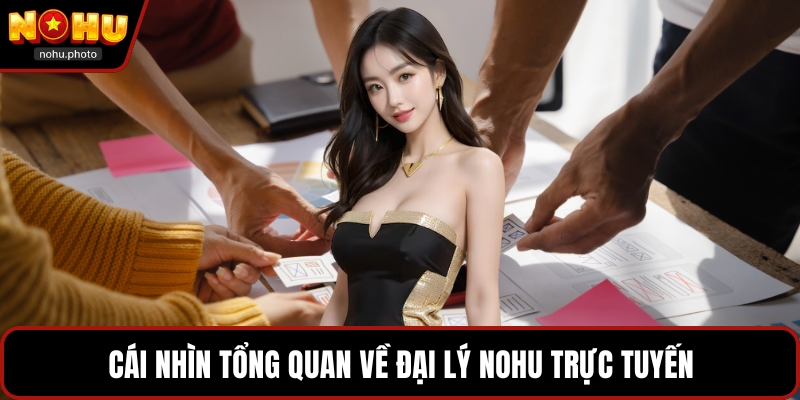 Cái nhìn tổng quan về đại lý Nohu trực tuyến